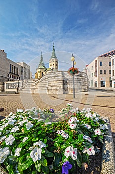 Flowers at Namestie Andreja Hlinku square at Zilina