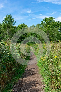 Flowers and Native Plants with a Trail at the Montrose Point Bird Sanctuary in Uptown Chicago