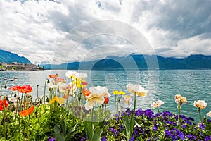 Flowers near lake, Montreux. Switzerland photo