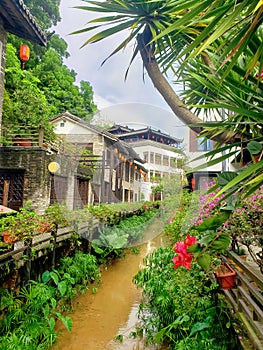 Flowers near the water channel in a Chinese village photo