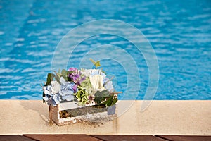 Flowers next to the pool