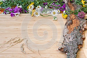 Flowers on old bark, rustic