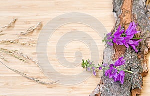 Flowers on old bark, rustic