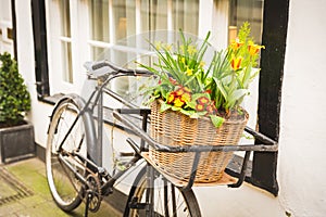 Flowers on an old bike basket next to a window