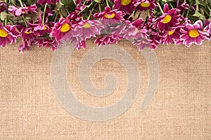 Flowers on a old burlap