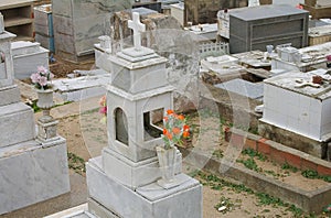 Flowers on old grave stone