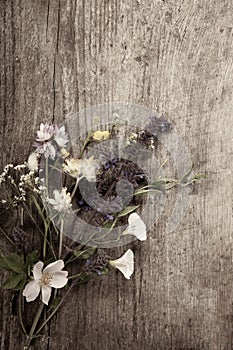 Flowers on old grunge wooden table chamomile lupine dandelions thyme mint bells rape. Wild nature background