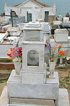 Flowers on old stone grave