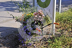 Flowers in an old wheelbarrow