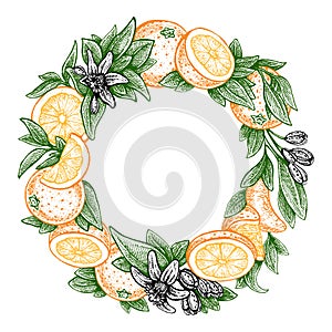 Flowers and oranges. Vector picture. Wedding invitation template, harvest festival, egology concept, vegan food, cafe