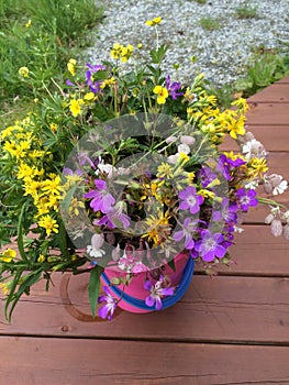 Flowers ouside in the garden