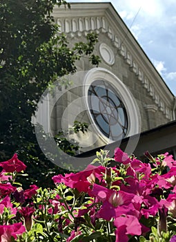 Flowers over the Great Choral Synagogue of Odessa, Ukraine