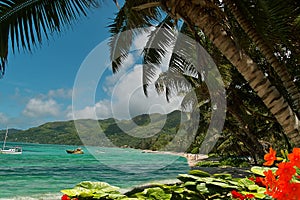 Flowers, palm-trees on paradise lagoon beach