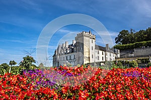 Flowers in the park with chateau Villandry on the background, Loire region, France.