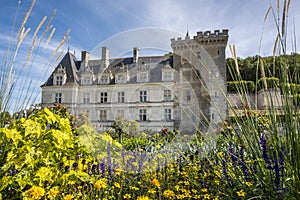 Flowers in the park with chateau Villandry on the background, Loire region, France.