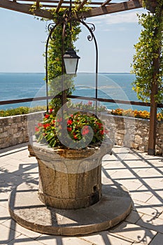 Flowers in the park of Duino castle