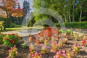 Flowers in the park in Sliac spa resort