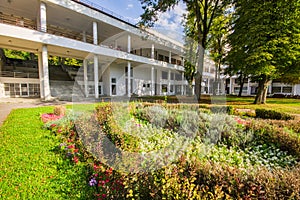 Flowers in the park in Sliac spa resort by Hotel Palace