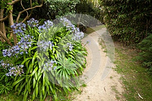 Flowers and a path in a botanical garden in Normandy France