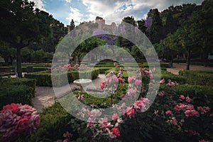 Flowers at Pedro Luis Alonso Gardens with Alcazaba Castle on background - Malaga, Andalusia, Spain