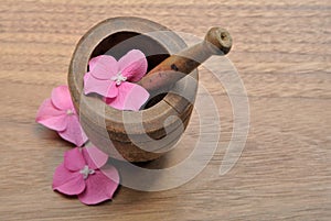 Flowers in a pestle for aromatherapy and spa