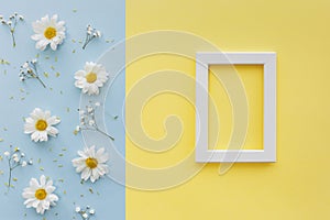 flowers petal pollen with white blank picture frame dual backdrop 2. High quality beautiful photo concept