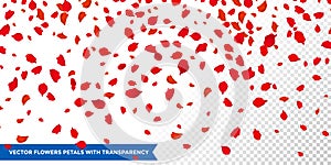 Flowers petals falling on vector transparent background