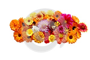 Flowers with petals of various colours