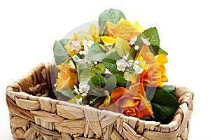 Flowers in the phloem basket photo