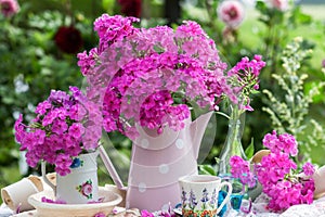 Flowers Phlox subulata in vase with white dots in nature background outdoors