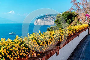 Flowers in Piano di Sorrento