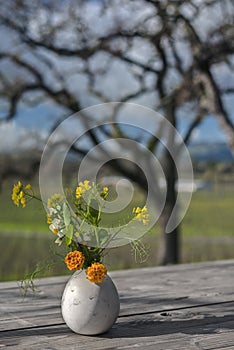 Flowers and Picnic Table over California Vineyard
