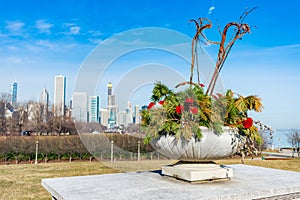 Flowers and Pine Branches in a Planter with Lake Shore Drive and the Chicago Skyline