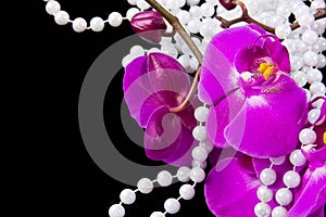 Flowers of pink orchid and beads from white pearls
