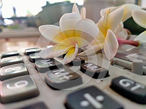 Flowers placed on the calculator