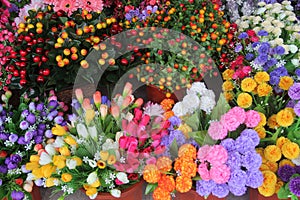 Flowers Placed in the flower shop