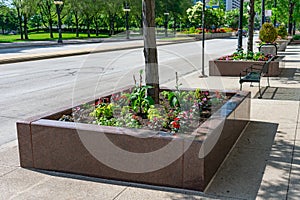 Flowers in a Planter along Michigan Avenue near Grant Park in Chicago