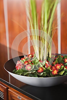 Flowers and Plants in Black Bowl