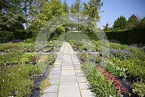 Flowers And Plants Growing Outdoors At Garden Centre