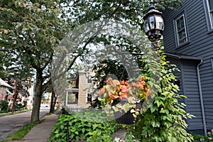 Flowers and Plants on a Light along a Sidewalk with Neighborhood Homes in Cold Spring New York