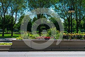 Flowers and Plants in the middle of Michigan Avenue with No Cars and Grant Park in the background in Chicago