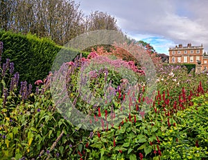 Flowers and Plants with Newby Hall in the background, North Yorkshire United Kingdom