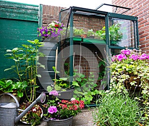 Flowers and plants planting in a urban garden with a small greenhouse full with new own grown vegetables. Nice green natural garde