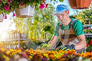 Flowers and Plants Selling