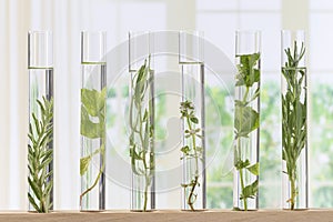 Flowers and plants in test tubes