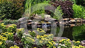 Flowers and Pond