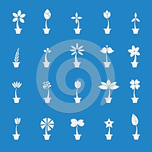 Flowers in pot icon set.