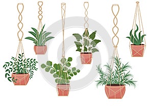 Flowers in a pot macrame pots, modern Scandinavian style, interior decor. Hanging plants set. Vector illustration