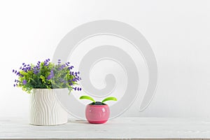 Flowers and pot on a white with wall shelf.