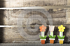 Flowers in a pot on wooden background